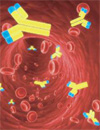 Le Syndrome de Fatigue Chronique est-il une maladie auto-immune ?
