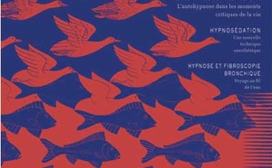 Revue Hypnose &amp; Thérapies brèves n°2 en PDF