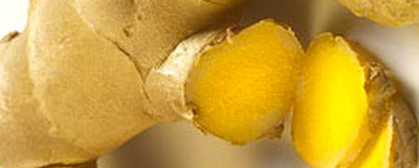 Actualité fibromyalgie, spasmophilie.