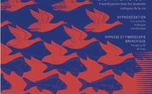 Revue Hypnose &amp; Thérapies brèves n°2 en PDF